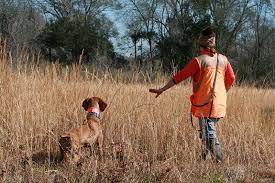 Start A Hunting Preserve On Your Farm - Hobby Farms
