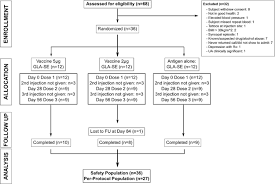 Clinical Trial Consort Diagram Flow Chart Shows The Number