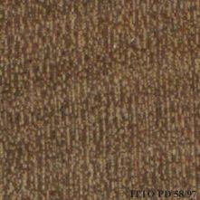 Image result for Strombosia