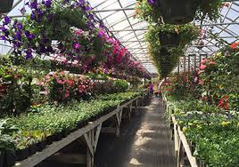 Maple Grove Mn Heidi S Growhaus Lifestyle Gardens Service Area Landscape Design Minnesota