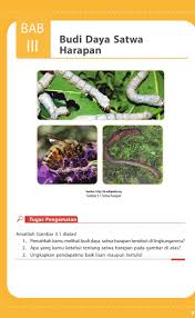 Download buku kurtilas revisi 2017 kelas viii smp/mts. Buku Siswa Kelas 8 Prakarya Semester 2 Revisi 2017 For Android Apk Download