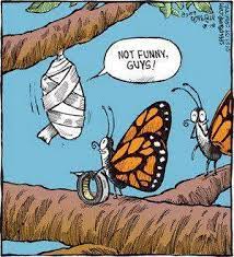 138 quotes have been tagged as butterfly: Butterfly Humor Cartoon Jokes Funny Cartoon Pictures Funny Cartoon Photos