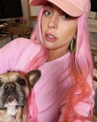 Lady Gaga And Blackpink Release New Song Called Sour Candy The Independent Singapore News