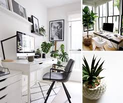 Get creative in the office! 5 Best Desk Plants Blog Switchboard