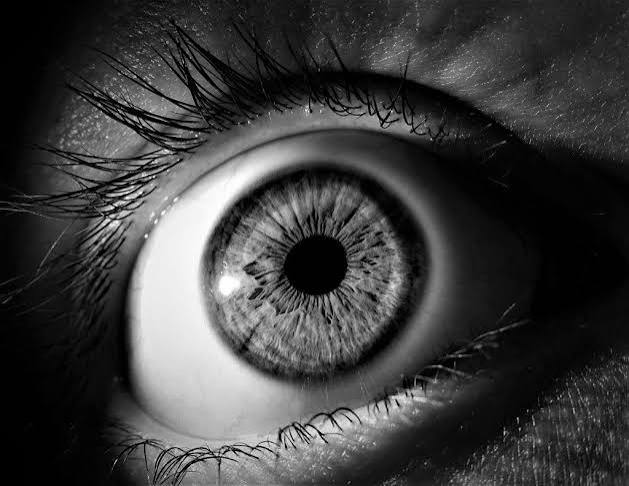 The human eye can tell day from night with three types of cells