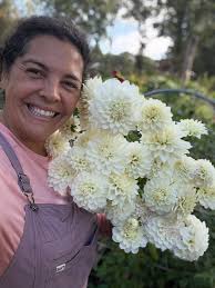 🐶 Walter Grey 🥰 New squishy face