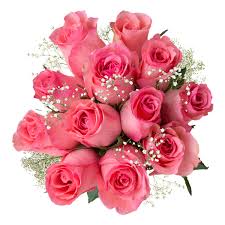 Shop for valentine's day flowers and celebrate this romantic time of year with flowers delivered across canada. Valentine S Day Light Pink Roses With Filler Affordable Gift Roses