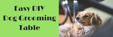 Pedigroom professional dog grooming harness arm with noose. I Built A Diy Grooming Table For Small Dogs And You Can Too Here S How Dexter S Dog Days