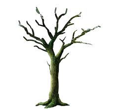 Zeichnen lernen für anfänger die kategorie für anfänger zu lernen. Tipps Des Monats Wettbewerb Guides Von Aloneflaver 1 Wie Man Einen Halbrealistischen Fantasy Baum Zeichnet Clip Studio Tips