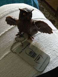Image captionthe eagle owl has been seen roosting near st james park football ground. Tb6cer7 Travel Bug Dog Tag Bubi