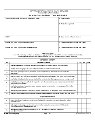 Gmp Audit Report Template 1 Templates Example Templates Example Report Template Internal Audit Word Template