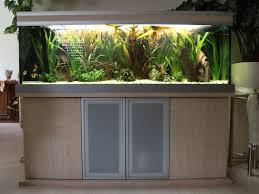 Bildergalerie Aquariumkombination Modern Aquarium Unterschrank Aquarium Design Planted Aquarium