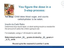 Counting Carbohydrates And Dosing Insulin For School Nurses