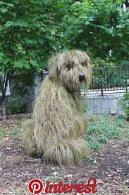 Atlanta Botanical Gardens Decoration Jardin Art Des Jardins Idee Deco Jardin