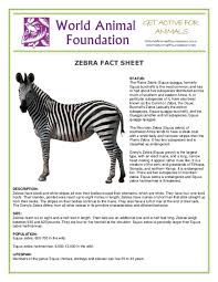 So where do zebras live in the wild? Zebra Fact Sheet Amelia Machaieie Academia Edu