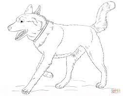 We did not find results for: Siberian Husky Coloring Pages Coloring Home