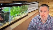 Tiny Tanks, Big Savings: Why Small Aquariums Are the Best Choice ...