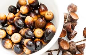 acorns a superfood university of utah health