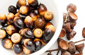 Acorns A Superfood University Of Utah Health