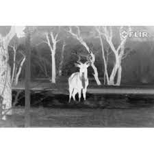 Scout iii, 320 60hz thermal imagermanufacture id: Flir Scout Iii 320 60hz 2xzoom Infraredcamera Flir Infrarotkameras De
