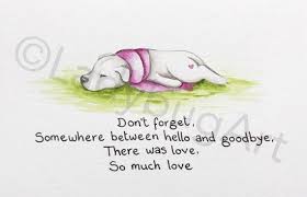 See you in another life. So Much Love Between Hello And Goodbye Are The Memories We Hold Onto Forever A Constant Reminder They Will Never Be Forg Pet Grief Pet Loss Quotes Dog Quotes