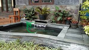 Contoh gambar kolam ikan minimalis dan motif relief ini merupakan desain kolam ikan yang sudah populer dan dikenal. Tukang Kolam Koi Kolam Minimalis