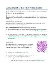 The cells will go through the steps of interphase exploration sheet answer key. C 1 1 Cell Division Gizmo Docx Assignment C 1 Cell Division Gizmo Read The Explorelearning Enrollment Handout In The Introduction Materials Folder To Course Hero