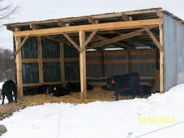 Cattle Forum Cattle Discussion Boards At Cattle Today Cow Shed Horse Shed Cattle Barn