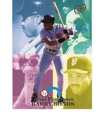 Image result for Bright Wineberry 1993 FLSTF