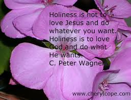 Quotes On Holiness Preachers From Quotesgram