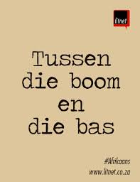 Pin By Cicely Brummer Lowe On Afrikaans 3 Words Afrikaans Afrikaans Quotes