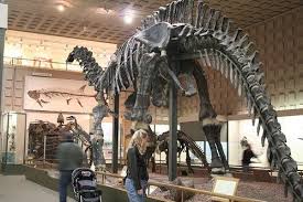 Peabody Museum Of Natural History New Haven Ct Kid Friendly Activity Reviews Peabody Museum Connecticut Attractions Best Family Vacation Destinations