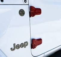 COVER'D UP Door Hinge Covers (2/4 DOORS)