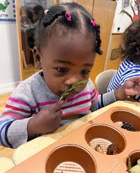 The Katmint™ (@thekatmint) • Instagram photos and videos