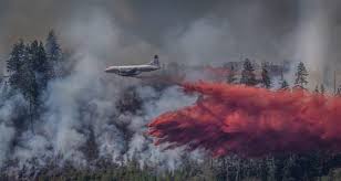 Maybe you would like to learn more about one of these? 2018 Bc Wildfire Season Now Second Worst In Province S History Behind Last Year