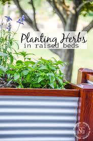 Maybe you would like to learn more about one of these? Planting Herbs In Raised Beds Stonegable