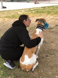 Marbles, the dog, is jenna's little namesake. Jenna Marbles On Twitter Last Friday We Adopted The Newest Member Of Our Family Bunny A 3 Year Old Greyhound She Was A Blood Donor Dog Who Needed A Loving Home And