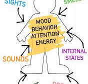 Sensory Integration for Caregivers - Colorado Springs ...