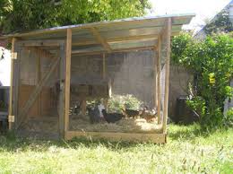 Backyard ducks backyard poultry backyard farming chickens backyard keeping chickens raising ducks: Duck Housing Tips By Duck Lovers Adoptions Chickens Backyard Duck House Dream Backyard
