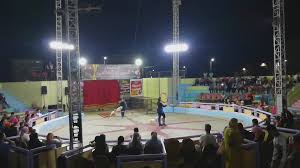 Circles Show With Cute Funny Dog In Circus Clowns Funny Strong Guy Cute Funny Dogs