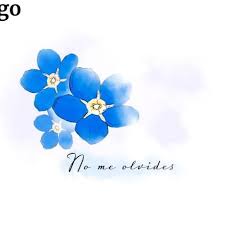 Lo que más me gusta de la lluvia, es oir esas gotas cuando caen. No Me Olvides Nomeolvidespaz Twitter