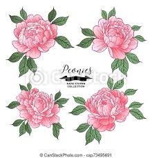 Illustration japon illustration dessin japonais peinture japonaise illustration art déco illustration de paysage fond d écran art illustration ancienne dessin alien. Fleurs Flowers Style Rose Japonaise Tatouage Pivoine Illustration Main Dessine Vecteur Canstock