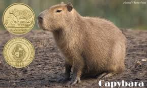 El carpincho tiene su hábitat en zona húmedas, pues si bien es cierto que son animales terrestres, suelen disfrutar de las aguas de los ríos, lagos y demás. Animal Theme Coins Uraguay 2 Peso Capybara The Capybara Is A Giant Cavy Rodent Native To South America It Is The Largest Living Rodent In The World Also Called