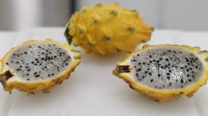 By simply putting the juice or a conditioner containing dragon fruit on your scalp, you can protect your chemically treated or colored hair. Yellow Dragon Fruit How To Eat It And Taste Test In The Kitchen With Matt