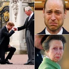 King Charles heartfelt words bring person to tears