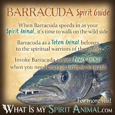 Fish Symbolism & Meaning | Spirit, Totem, & Power Animal
