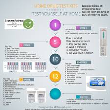 Do not read the cup 10 minutes after the sample is collected as a result is no longer reliable. How To Pass A 10 Panel Drug Test In 2020 Stonersretreat