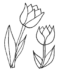 Kies dus maar gewoon zelf wat je mooi vindt met deze kleurplaten nederland en geef ons land wat extra kleur! Nederland Kleurplaten Tulpen Kleurplaten Bloem Kleurplaten Tulpen