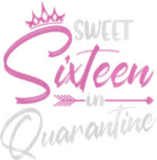 Download Sweet 16 In Quarantine Shirt Tshirt Shoping Online