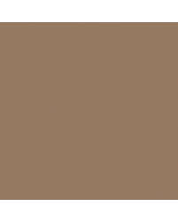 Image result for Satin Tan 1970 Chrysler